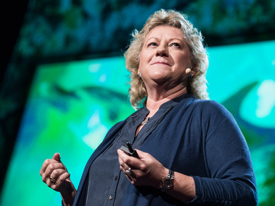 Denise Herzing: Mohli bychom mluvit jazykem delfínů?